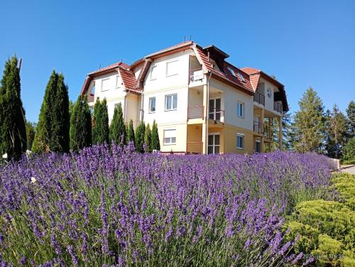 Bukkszentkereszt Appartement | Bükkszentkereszt Oxigén Apartman