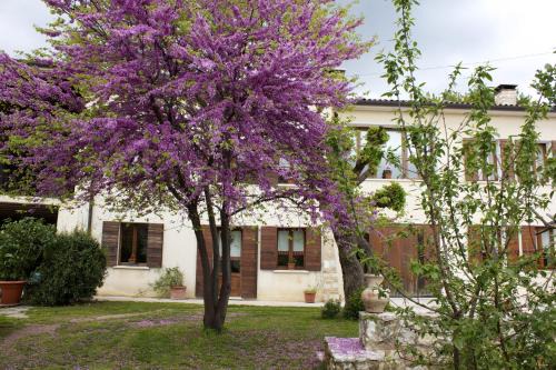 Paderno del Grappa Lit Et Petit-Déjeuner | B&B Altè