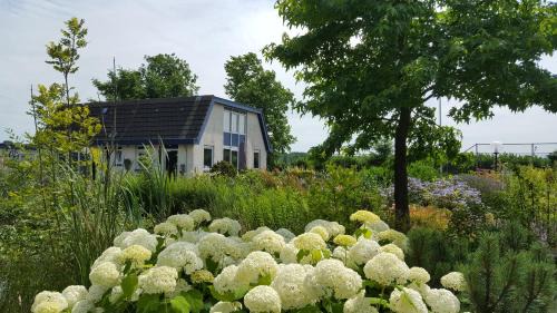 Rhenen Lit Et Petit-Déjeuner | B&B Bovenweg