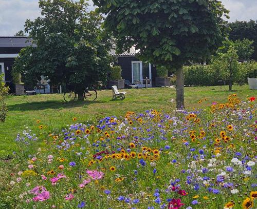 Sommelsdijk Lit Et Petit-Déjeuner | B&B Buutegeweun