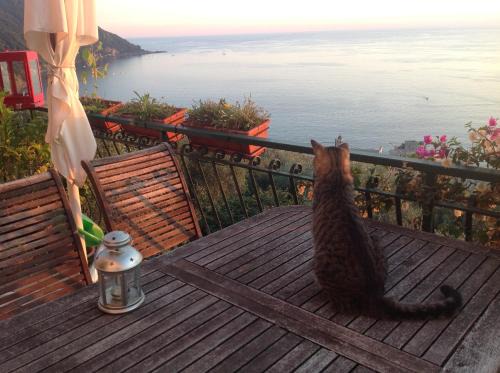 Camogli Lit Et Petit-Déjeuner | B&B Case Rosse