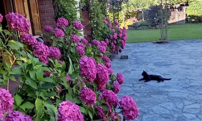 Pratovecchio Maison | B&B da Ronald...a Pian del Papa