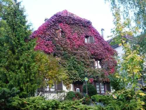 Ferrette Lit Et Petit-Déjeuner | B&B de charme La Maison des 5 Temps