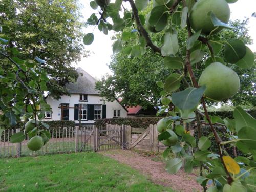 Municipality of Wageningen Lit Et Petit-Déjeuner | B&B De Willemshoeve