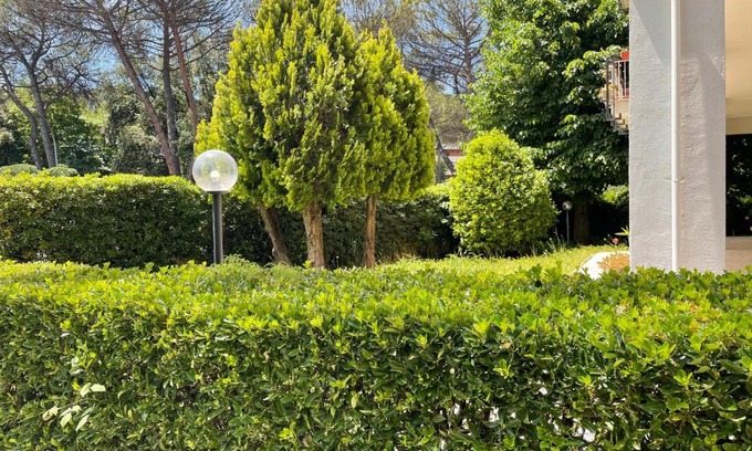 Quartiere XXXI Giuliano Dalmata Lit Et Petit-Déjeuner | B&B "Feelgood"