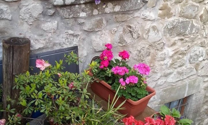 Casoli Lit Et Petit-Déjeuner | B&B La Margine con area benessere
