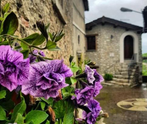Pescorocchiano Lit Et Petit-Déjeuner | B&B Leofreni Natura