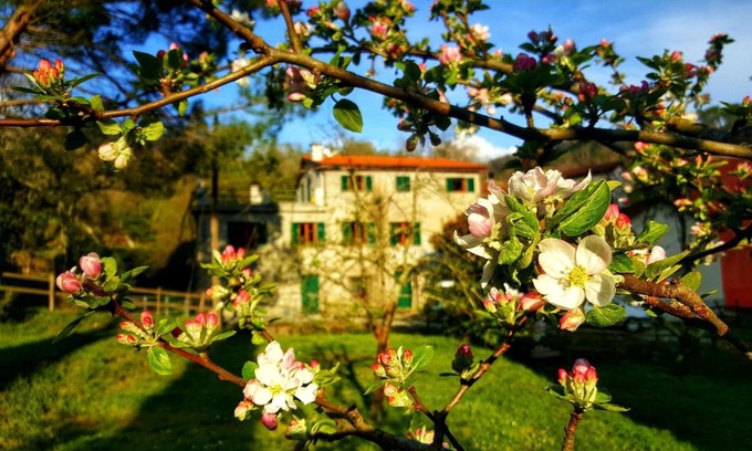 Castiglione Chiavarese Lit Et Petit-Déjeuner | B&B Tre Ponti