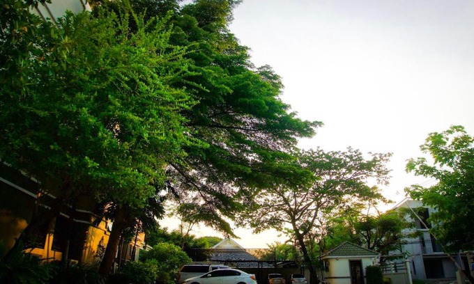 Rangsit Appartement | Baan Boonanan Apartment