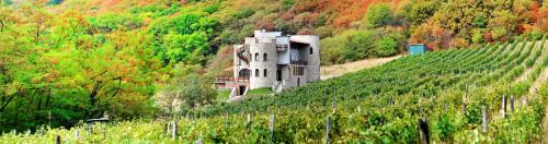 Babaneuri Hôtel | Babaneuris Marani