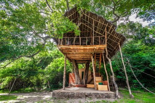 Dambulla Cabine | Back of Beyond - Wild Haven