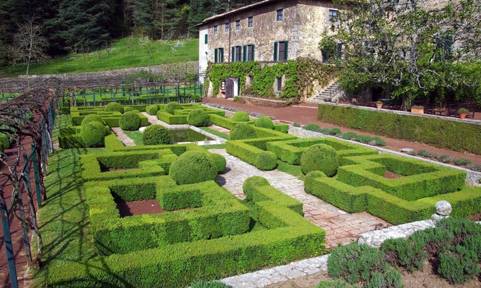 Badia Coltibuono Autre | Badia a Coltibuono