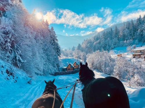 Yaremche Chalet De Ski | BagriWood Lodges (Лоджі БагріВуд)
