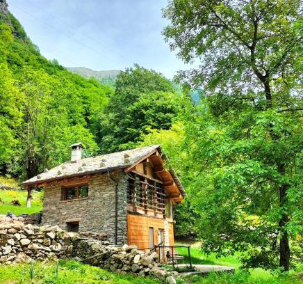 Mollia Chalet De Ski | Baita del noce