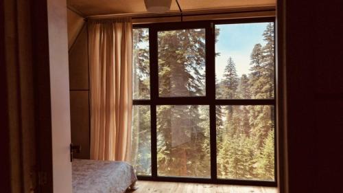 Bakhmaro Chalet De Ski | Bakhmaro Green Horizon