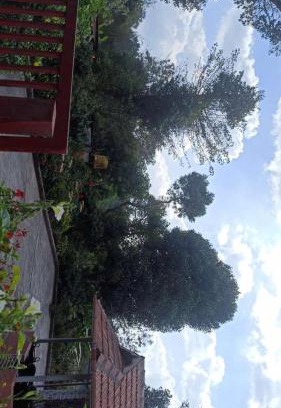 Madikeri Maison | Bakka house of joy