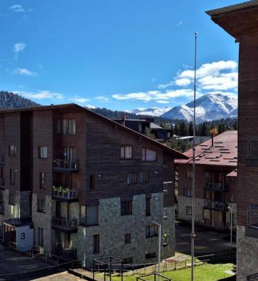 Bakuriani Appartement | Bakuriani Villa Monte