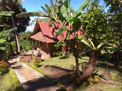 Selemadeg Cabine | Bali mountain forest cabin