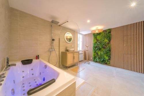 Chambery Appartement | Bali Room Apartment et Spa Chambéry