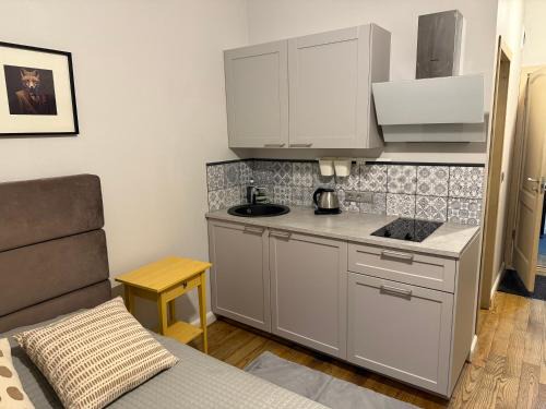 Grizinkalns Appartement | Baltic Design Apartments with free Parking and self check in