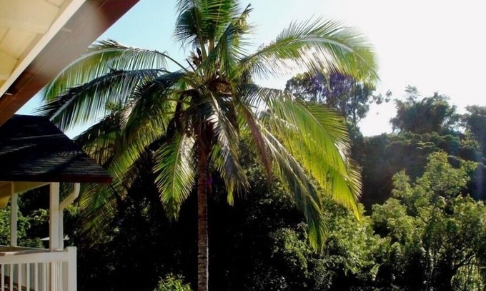 Pauwela Appartement | Bamboo Valley Inn 2BR / 1BA Autorisé