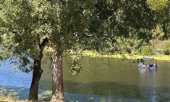 Saint-Fiacre-sur-Maine Lit Et Petit-Déjeuner | Chambre privée Bananier: Maison arborée face à la rivière