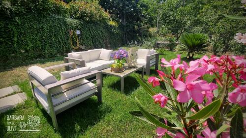 Diano Arentino Maison | Barbara tra gli Ulivi