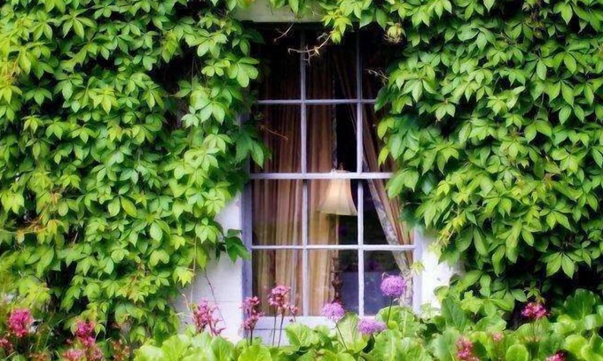 Straffan Hôtel | Barberstown Castle