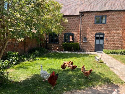 Ardens Grafton Maison | Barn Cottage