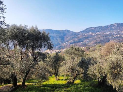 Contes Maison | Bas de villa. Côte d'Azur, à 20 kms de Nice