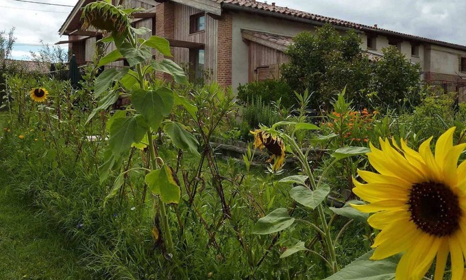 Lavalette Maison | Baugnac - Lavalette - Gîte