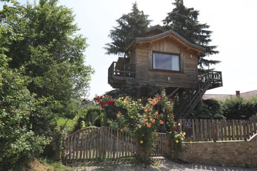 Senftenberg Maison | Baumhaus