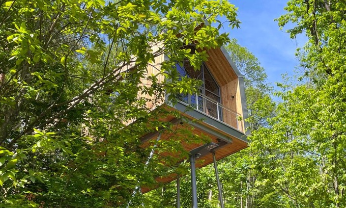 Annweiler am Trifels Maison | Baumwipfelhaus