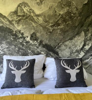 Lohberg Appartement | Bavaria Mountain Lodge Terrasse SKI Arber Osser Bayrischer Wald DESIGNER Ferienwohnung Nationalpark Bayrischer Wald inkl Osser Plus Pool
