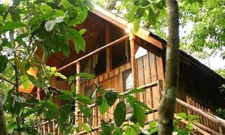 Olympos Hôtel | Bayrams Tree Houses