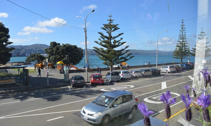 Oriental Bay Appartement | Bayview house in Oriental Parade