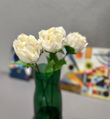 Pisa Lit Et Petit-Déjeuner | Bcube - santa Bona Bed & Breakfast