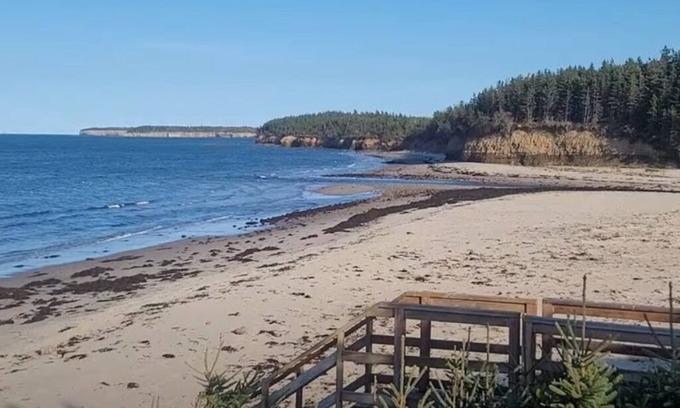 Black Rock Cabine | Beach access with Ocean View; Cabot Trail 25 km away.