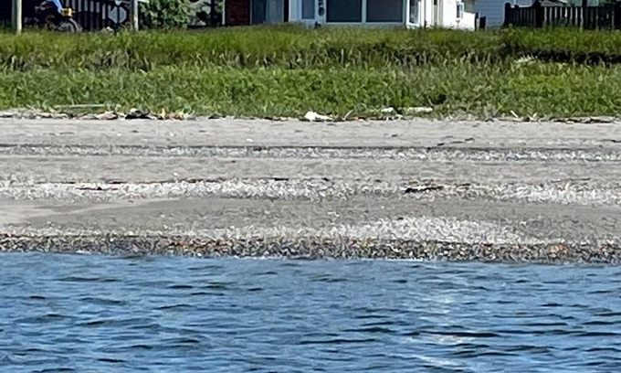 Cap-Chat Maison | Beach front quality house, open year round, Cap- Chat, Gaspesie, fishing, kayak,