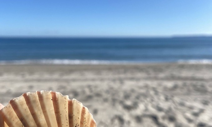 Papamoa Beach Maison | Beach rental. Peace and Tranquility