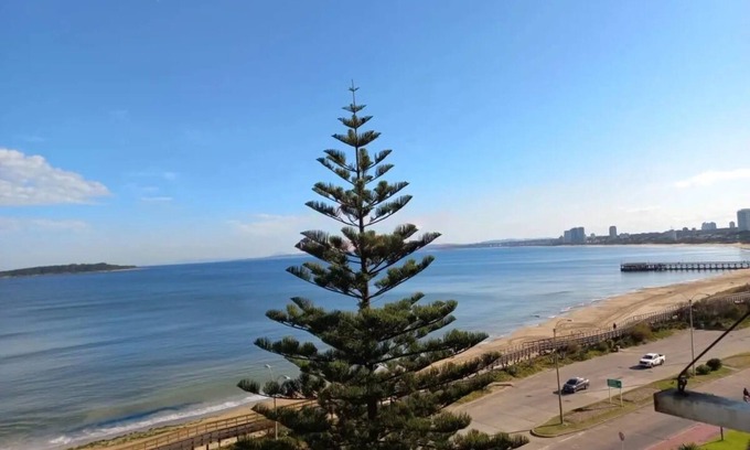 Punta del Este Appartement | Beachfront apartment in punta del este
