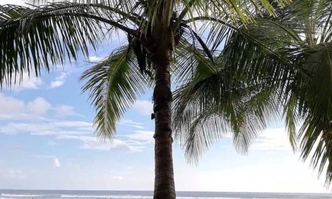 Bejuco Appartement | Beachfront Penthouse Condo with Amazing SunsetViews