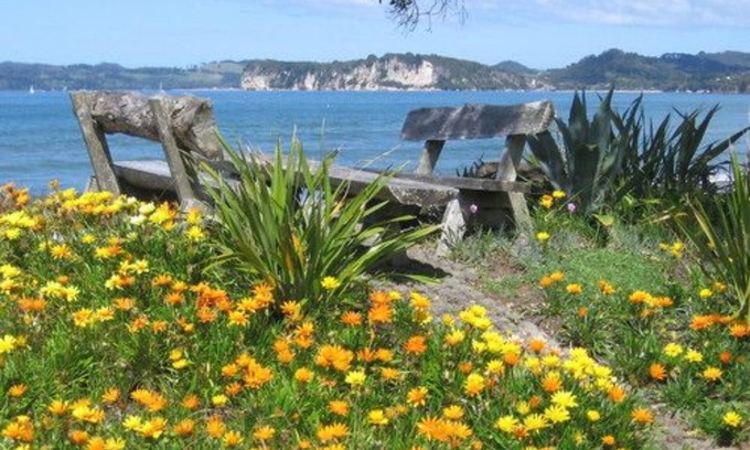 Whitianga Appartement | Beachfront Resort