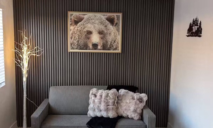 South Tucson Maison | Bear cave!