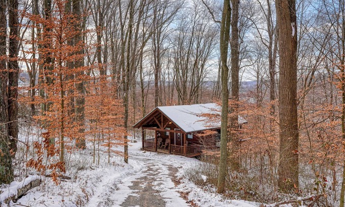 Carbon Hill Cabine | Bear Hugs cabin nestled in the woods.