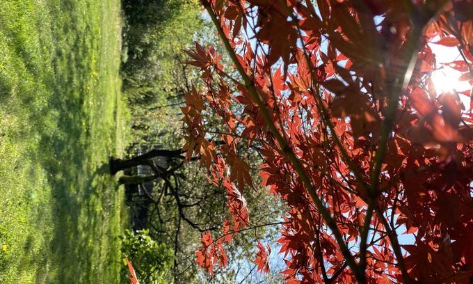 Buckow Maison | Beautiful, old holiday home with a view of the lake