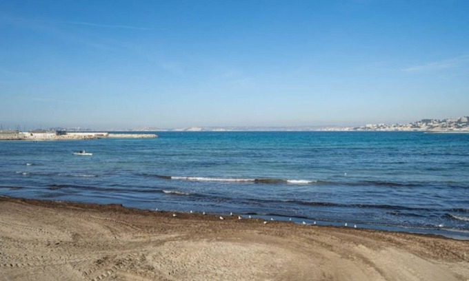 Montredon Appartement | Beau T2 climatise entre mer et calanques