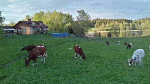 Nykoping Municipality Maison | Beautiful and peaceful in earth house, 90 m2