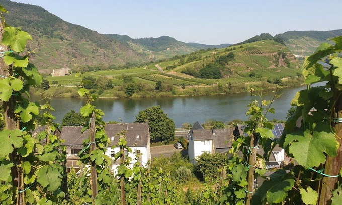 Ediger Maison | Agréable appartement pour 4 personnes avec WIFI, TV, balcon, animaux admis et parking