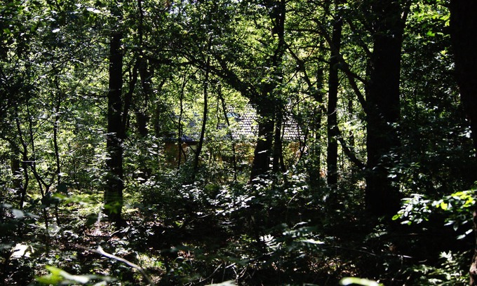 Oude Willem Villa | Belle Boshuis juste à l'extérieur de Diever au milieu du parc national Drents Friese Wold
